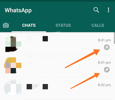 Just by long pressing on the chat you want to pin and tapping on the pin icon, you can pin those important chats.