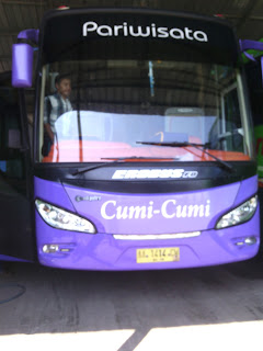  Sewa Bus Pariwisata PO. Cumi-Cumi Trans Tuban