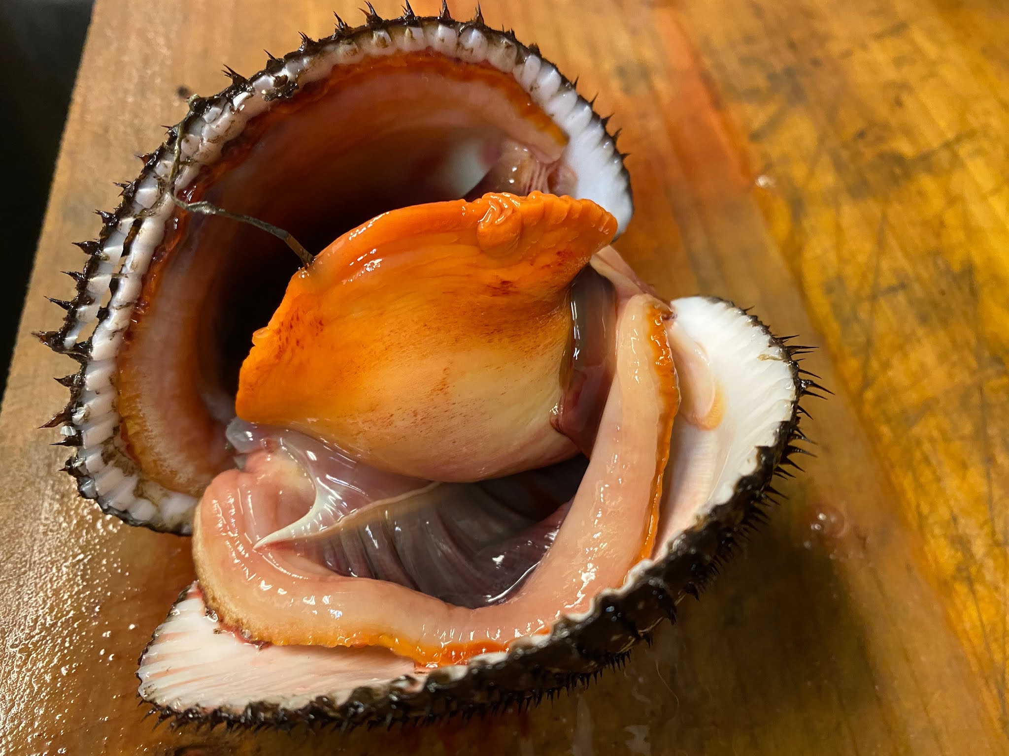 鮨と魚料理の保広ブログ 瀬戸内の赤貝が旨い
