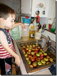 SAM_1529