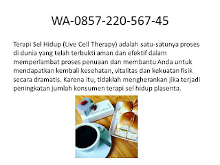 Obat Diabetes.Org , Jual Obat Diabetes Di Bengkayang 