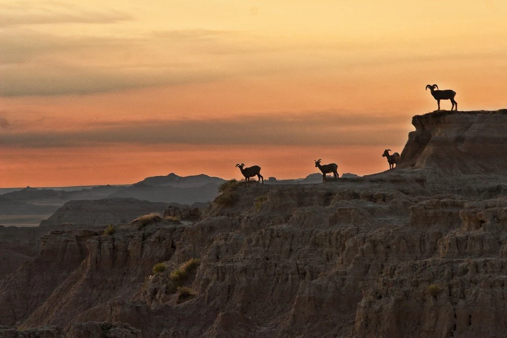 Badlands National Park