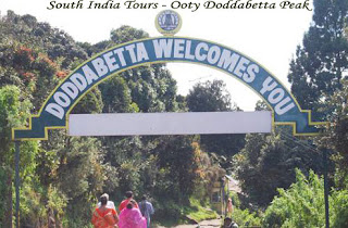 South India Tours - Ooty Doddabetta Peak