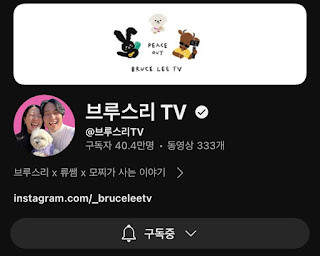 브루스리 티비