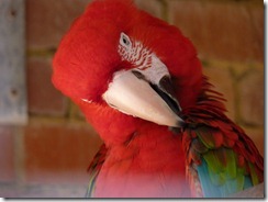 Rainbow Jungle & National Park Ian 166