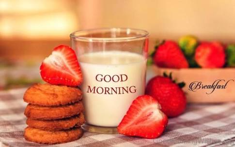 Best good morning photos wallpaper