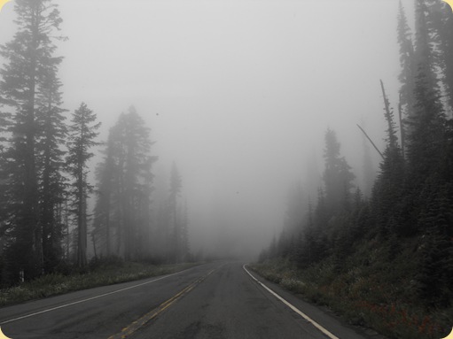 Mt. Rainier National Park 233