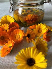 Yellow and gold calendula flowerheads with a jar of calendula oil