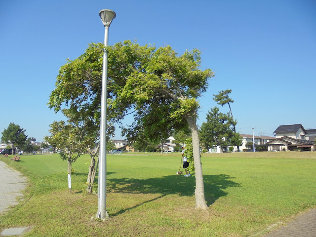 弓ヶ浜公園