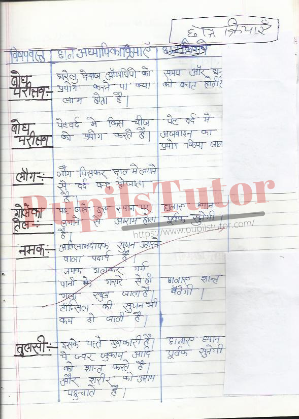 Lesson Plan On Gharelu Deshaj Aushdhiya For Class 10th | Gharelu Deshaj Aushdhiya Path Yojna – [Page And Pic Number 5] – https://www.pupilstutor.com/