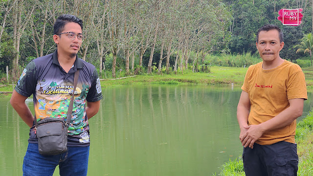 Kolam Udang Galah Air Gunung Lata Buluh