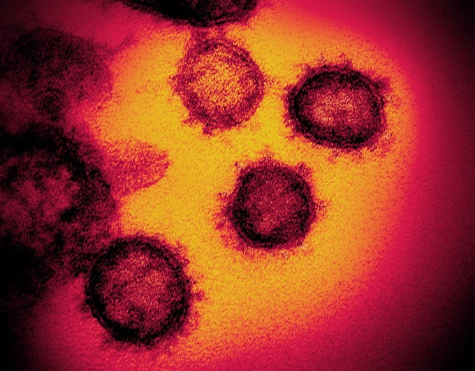 CORONAVIRUS AND ITS MODE OF ACTION