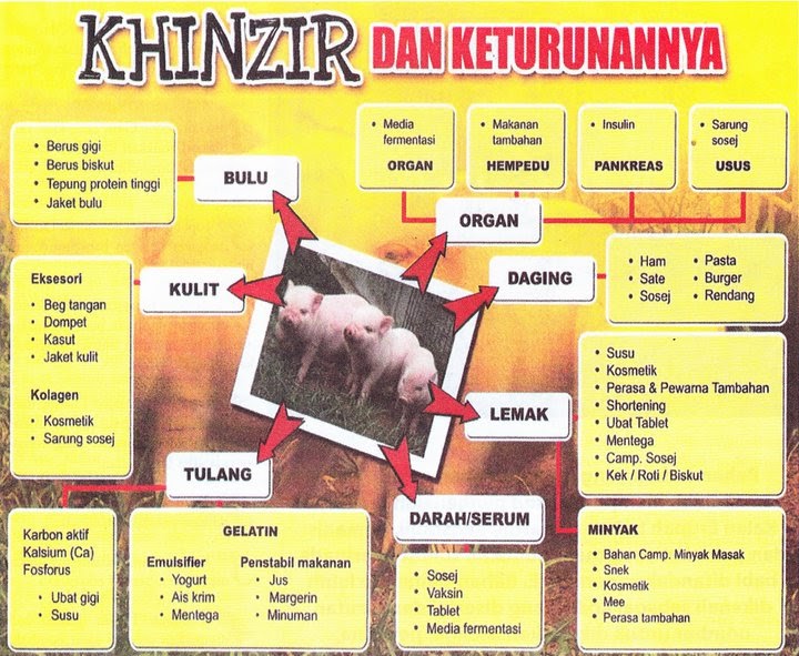 Tazkirah Binatang  Binatang  Yang Haram  Dimakan 