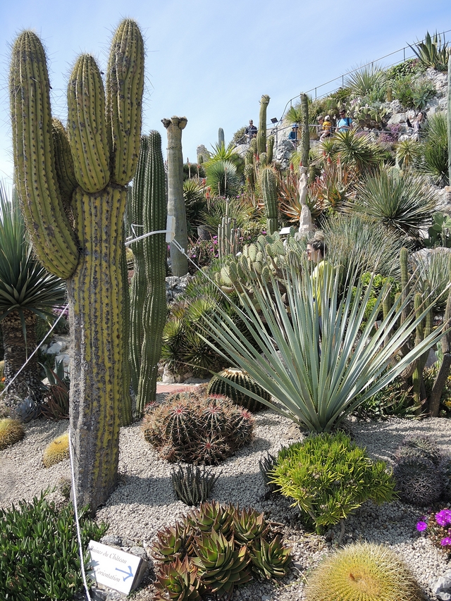 Nice: De exotische tuin van Eze