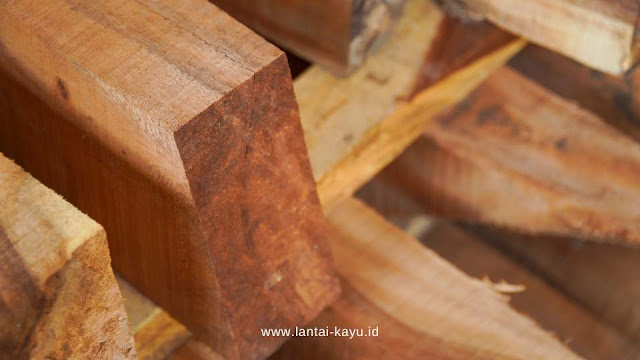 Jenis Kayu Balok
