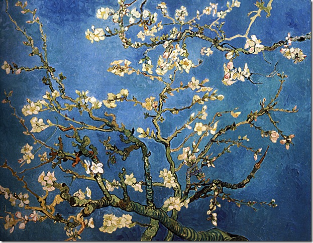 1890 Vincent Van Gogh   Amandier en fleurs  Huile sur Toile    73x92 cm  Amsterdam Rijksmuseum Vincent Van Gogh