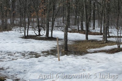 Snowstick 5 inches