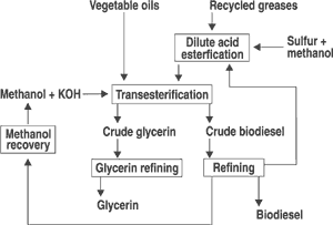 Biodiesel Fuel