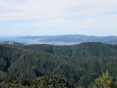 Coromandel Pueblo, Península de Coromandel, Nueva Zelanda