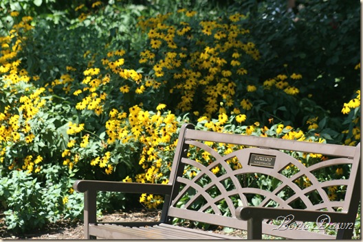 FPC_Bench_Aug18