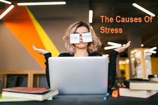 The Causes Of Stress