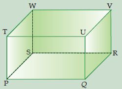 Pengertian Diagonal Bidang dan Diagonal Ruang beserta 