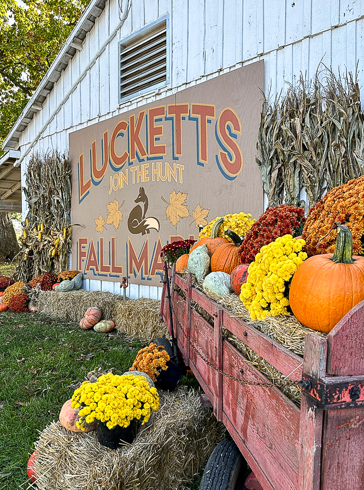 Lucketts Fall Market