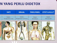 KAMU WAJIB TAU! Inilah 8 Waktu Detoksifikasi Tubuh Menurut Pengobatan Tiongkok
