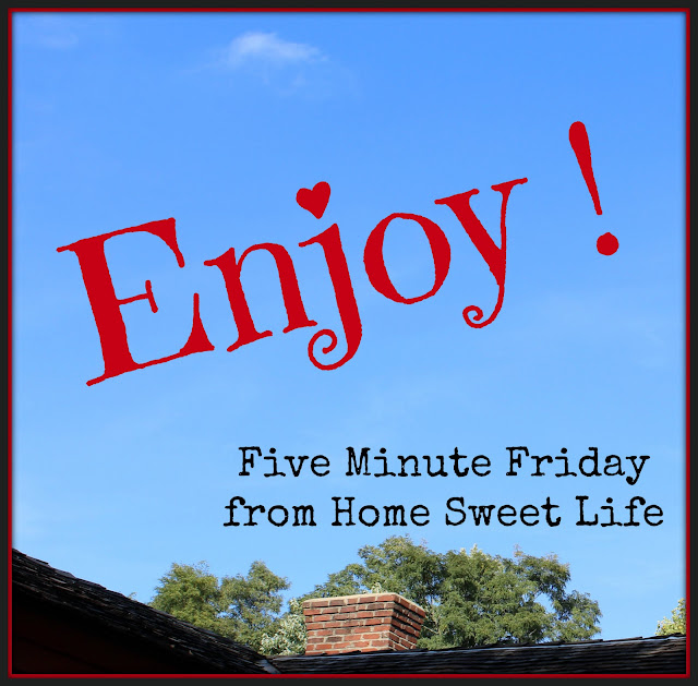 Enjoy, five minute friday posts , cherishing life