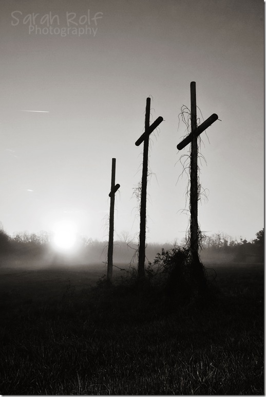 crosses-in-the-sun