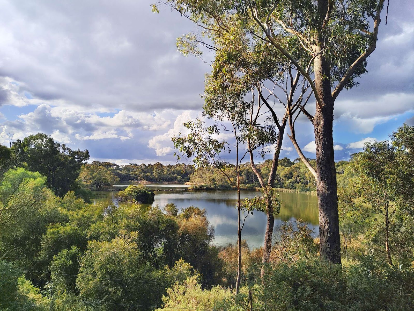 Newport Lakes Reserve