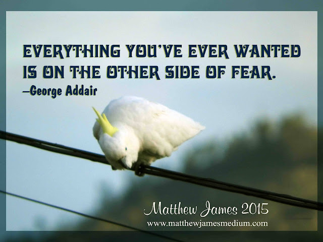 'Everything you've ever wanted is on the other side of fear' - George Addair