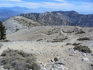 View east toward Mt. Harwood from the side of Mt. Baldy