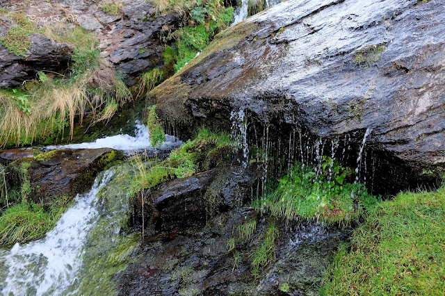 Barranco de Casas Nuevas, Jérez del Marquesado