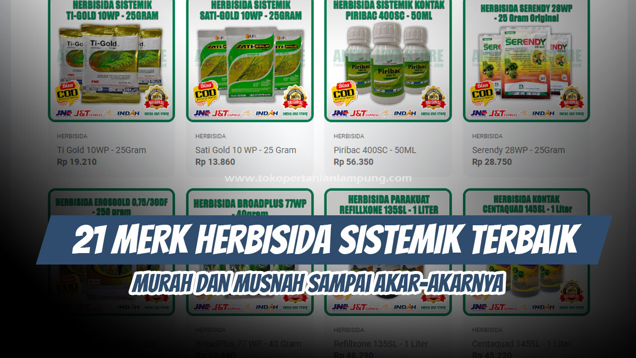 merk herbisida sistemik terbaik