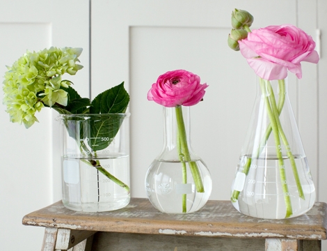 I also love Natural History 39s simple affordable laboratory glassware vases