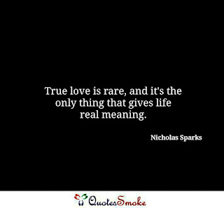 Love Quote by Nicholas Sparks