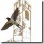 clip_image002