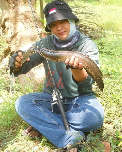 Foto Lady Angler Berhasil Mendapatkan Ikan Gabus Liar