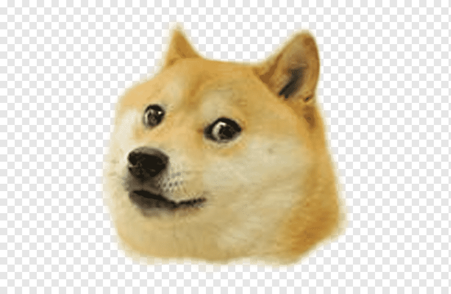 png-transparent-shiba-inu-doge-pembroke-