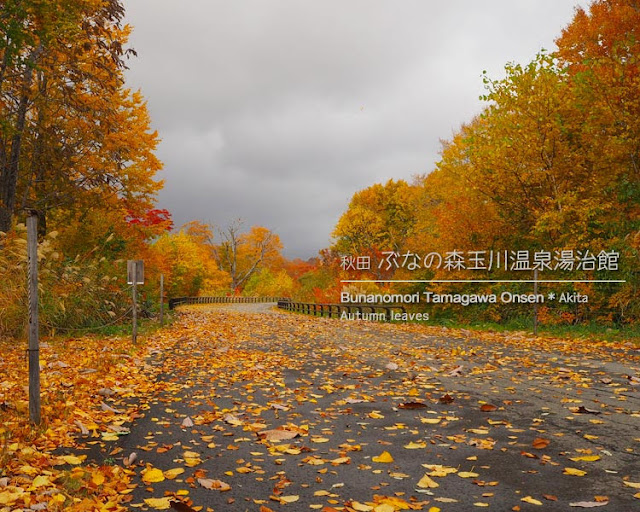 ぶなの森玉川温泉湯治館 そよ風の紅葉（秋田県）