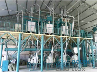 How To Start An 40TPD flour mill plant-Leading Factory of Zhengzhou double-lion 