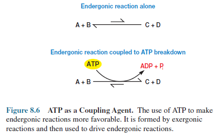 ATP as a Coupling Agent