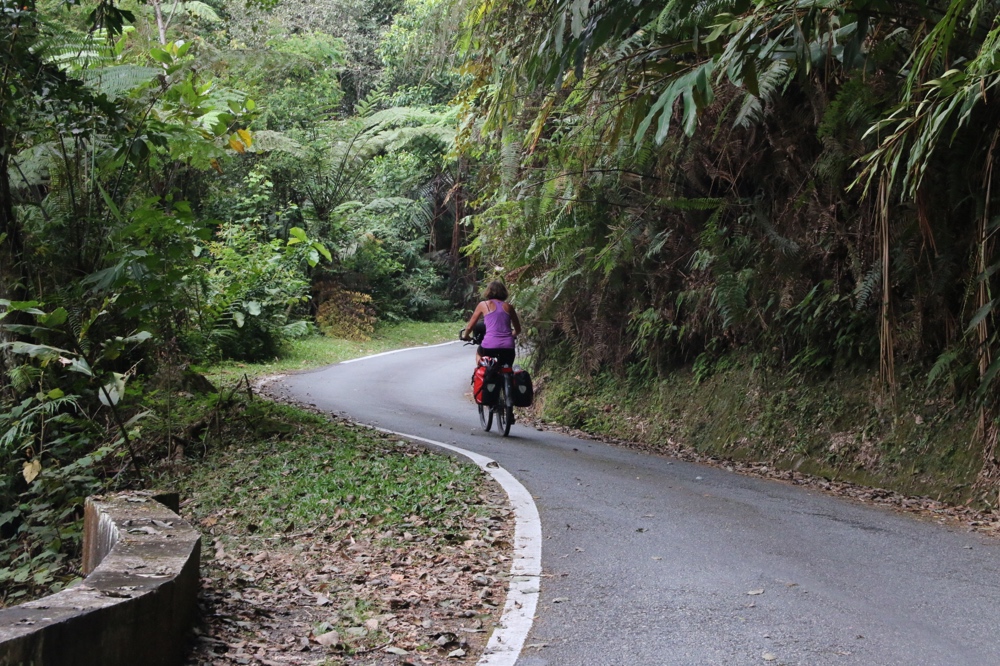 Road from the gap