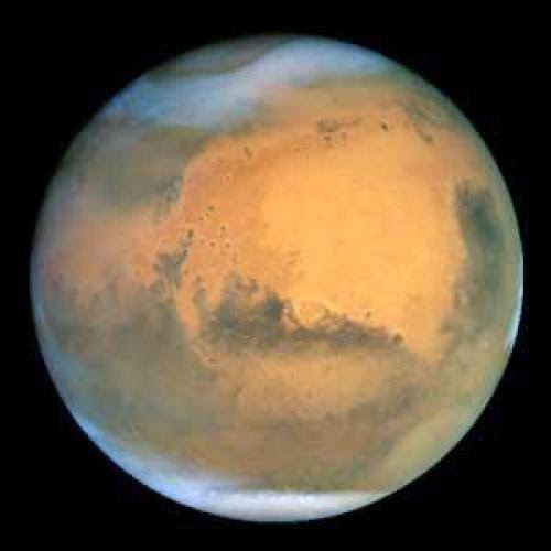 Nasa Mars Photo Leaked Wood Found On Mars