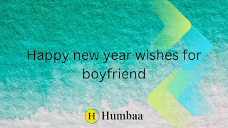 Happy new year wishes for boyfriend