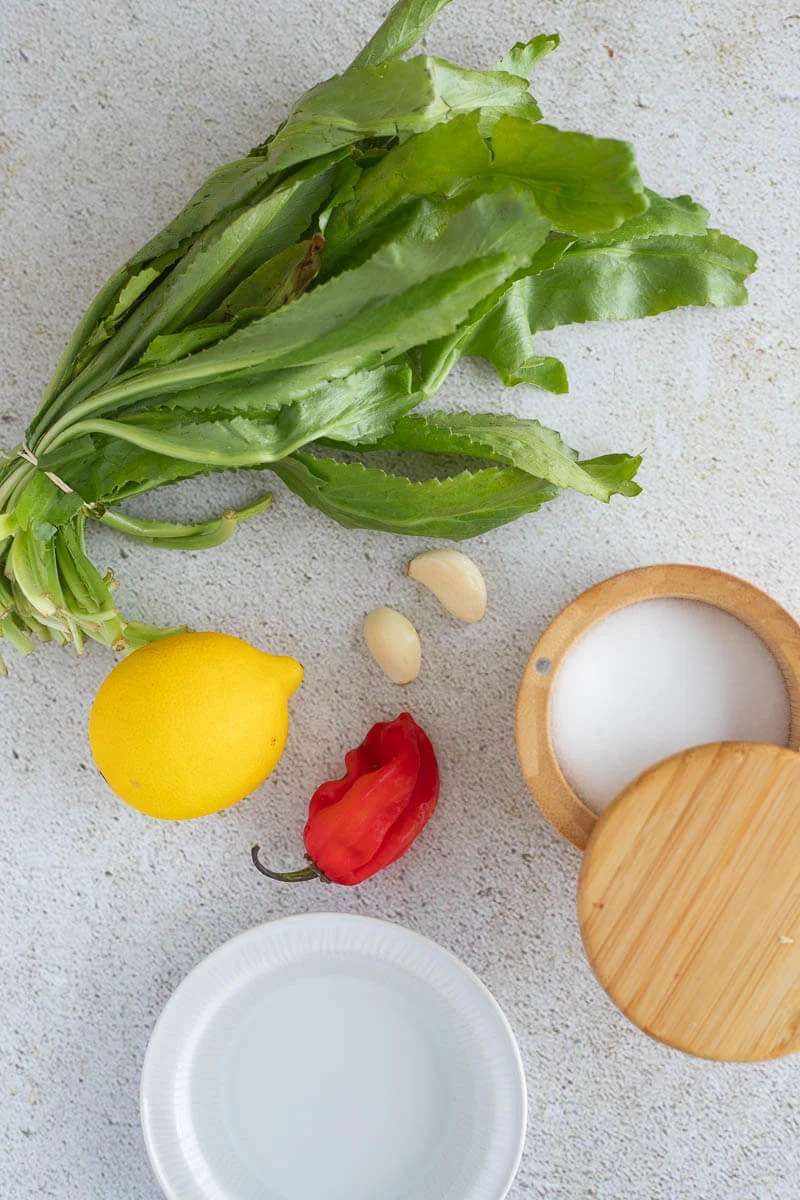 Ingredients needed to make chadon beni sauce portioned out.