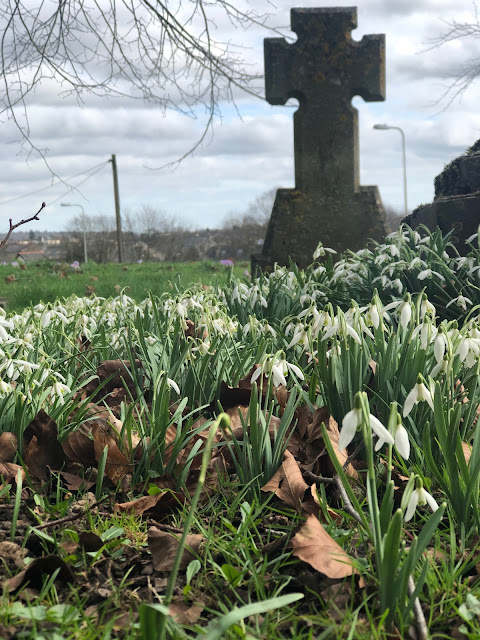 Chez Maximka, Witney cemetery