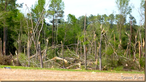 Tornado Damage Sanford NC_034