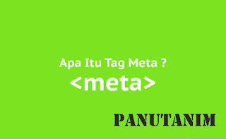 disini-kamu-akan-mengerti-dan-mengenal-tentang-apa-itu-tag-meta-tag-meta-tag-description